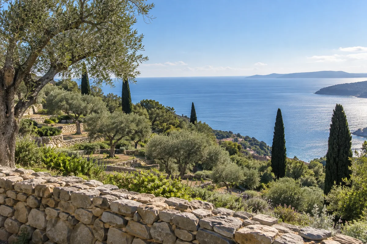 Jardin en terrasses planté d&rsquo;oliviers et de cyprès avec muret de pierre sèche et vue dégagée sur la mer